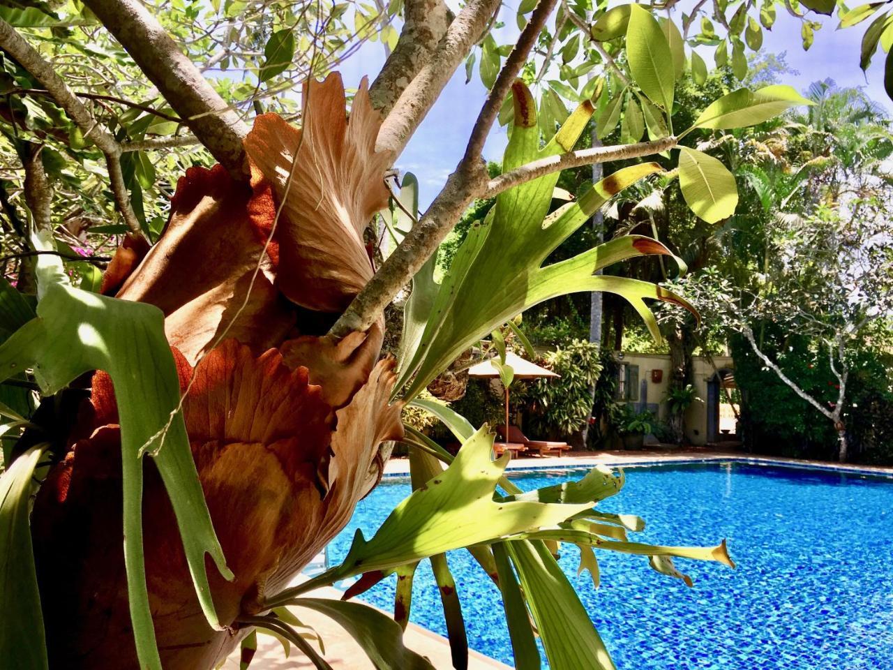 La Maison Nil Manel Hotel Ahungalla Luaran gambar